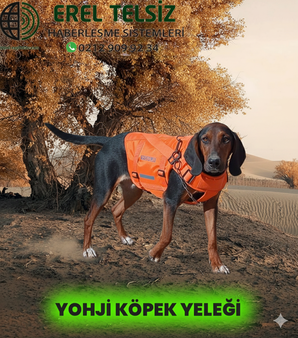 Yohji köpek yeleği